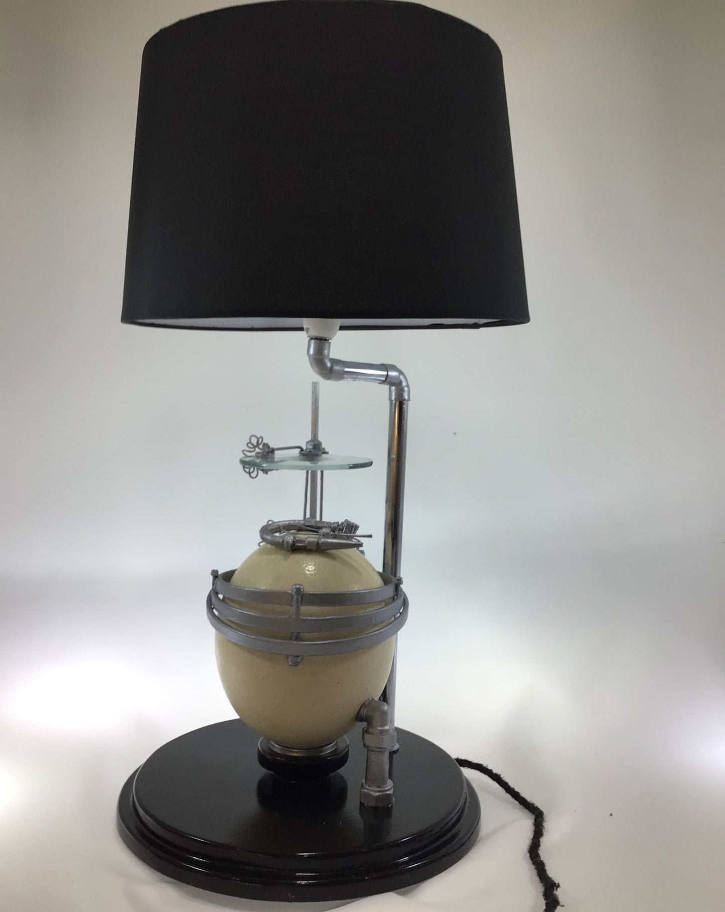 Ostrich Egg Accent Table Lamp